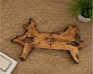 An Organic Driftwood Teak Wall Sculpture — A Symbol of Growth, Strength & Success