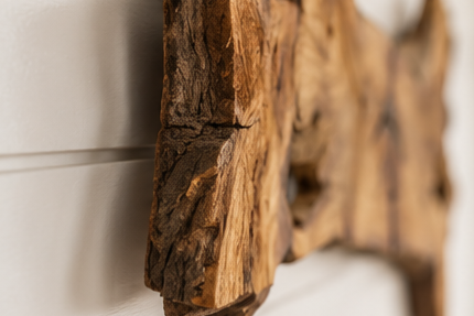 An Organic Driftwood Teak Wall Sculpture — A Symbol of Growth, Strength & Success